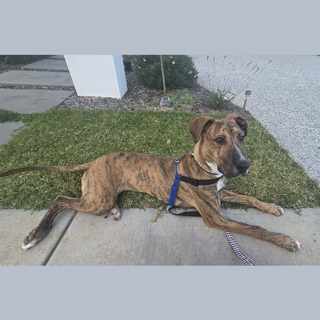 Photo of Tank