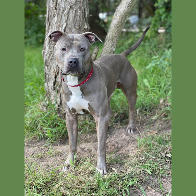 Photo of Thor