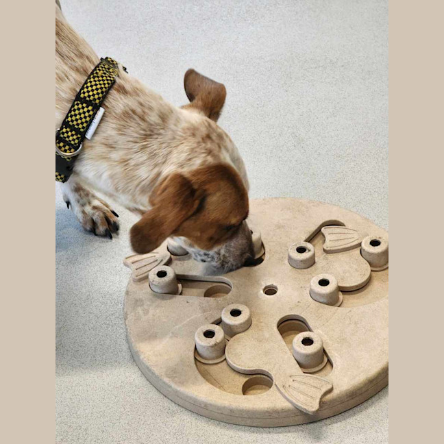 Photo of 🪐 Leonie 5464 🪐