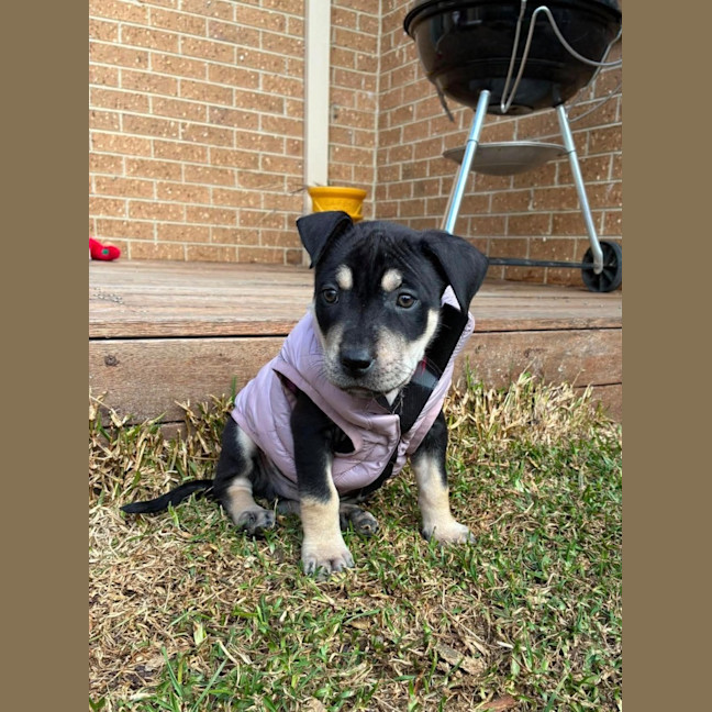Photo of Reginald