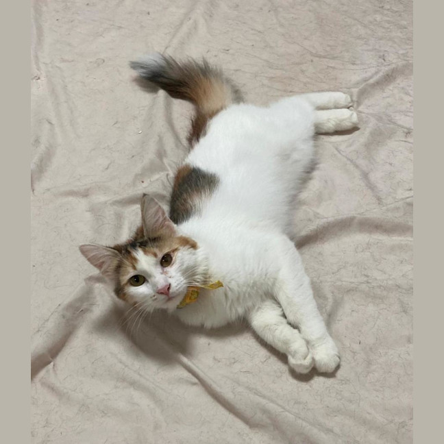 Photo of Molly