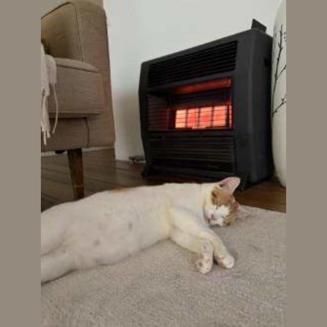 Photo of Clive