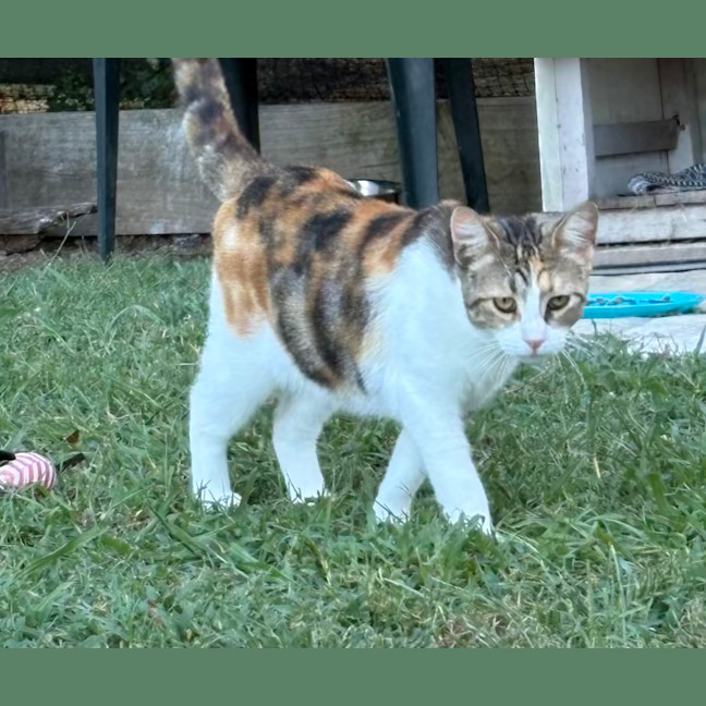 Photo of Artemis And Apollo