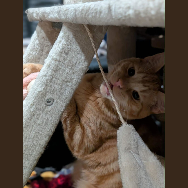 Photo of Alistair