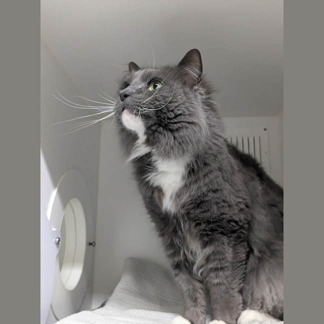 Photo of 💞 Pablo 6791 💞