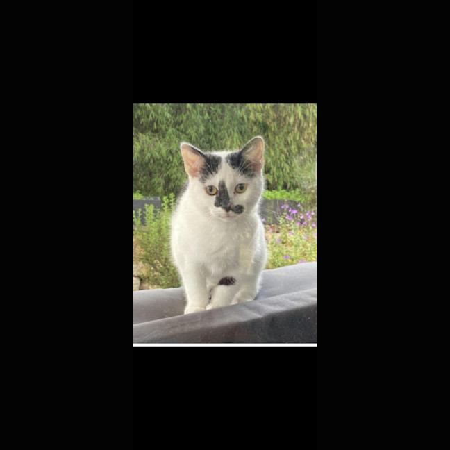 Photo of Milly