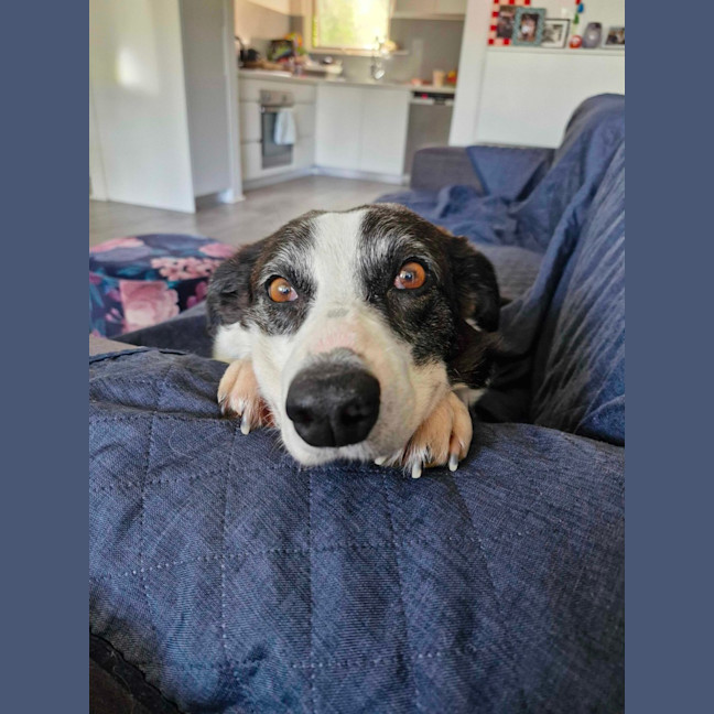 Photo of Winnebago 