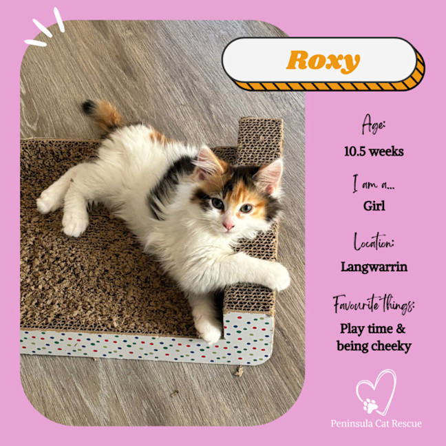 Photo of Roxy