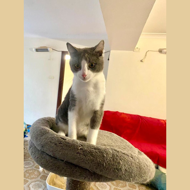 Photo of Jasper