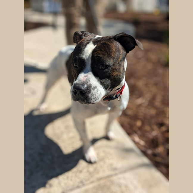 Photo of 🦒 Howard 6446 🦒