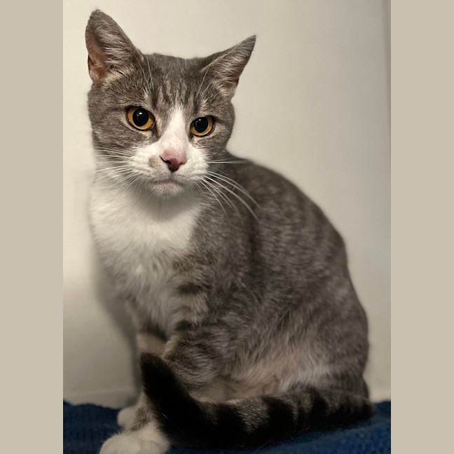 Photo of Glinda