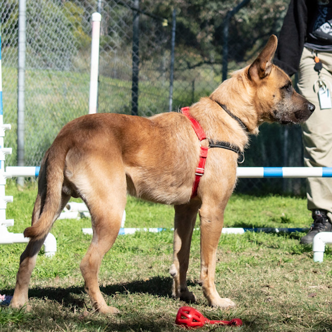 Photo of Scrap