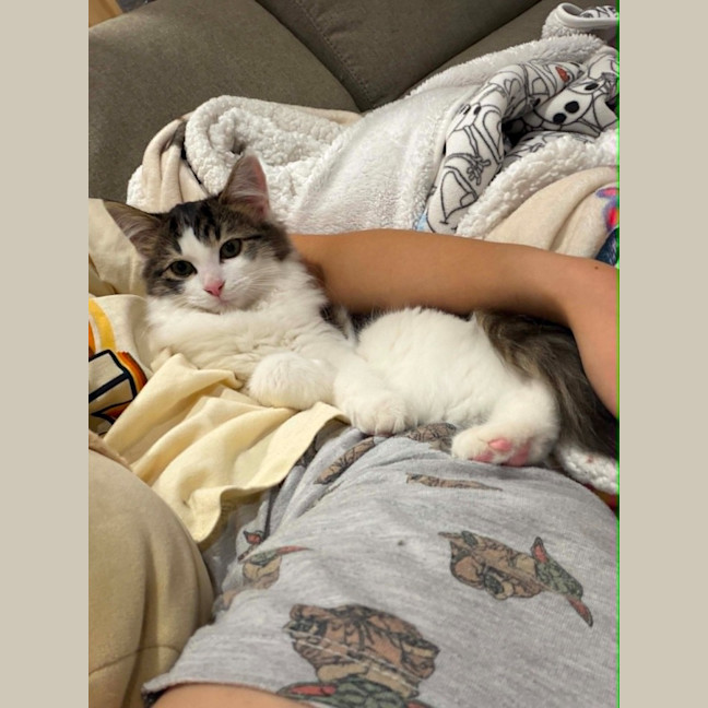 Photo of Cashew