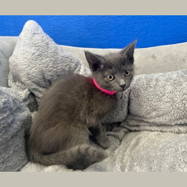 Photo of Princess