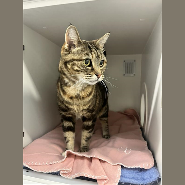 Photo of Wilma