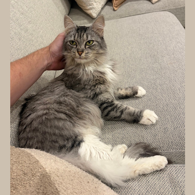 Photo of Nova