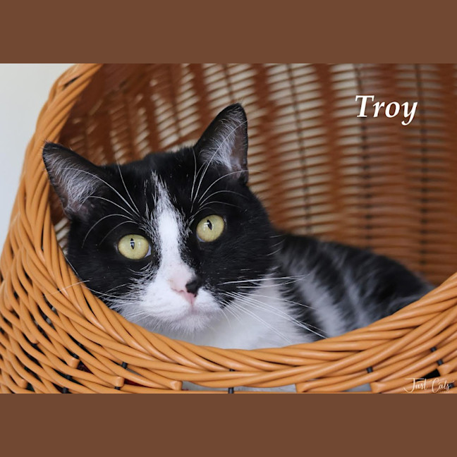 Photo of Troy