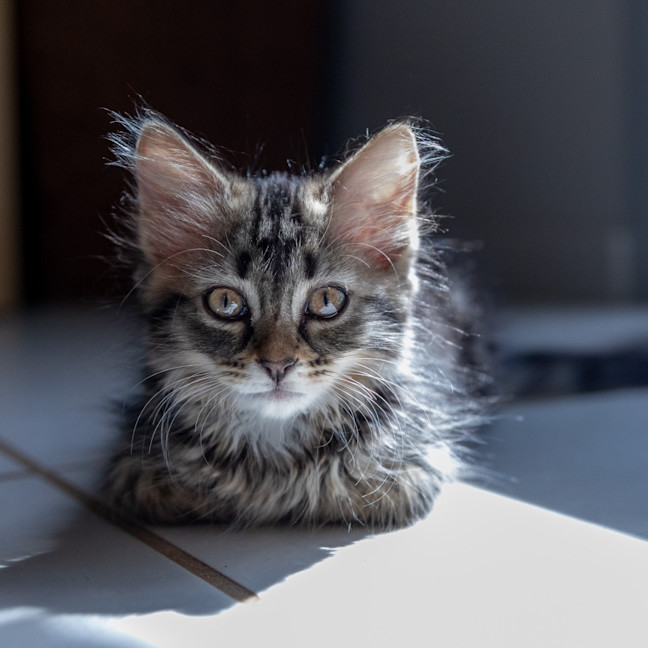 Photo of Zoey Moonlight