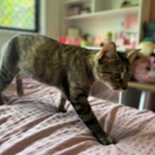 Photo of Zara