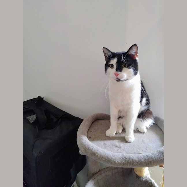 Photo of Clyde