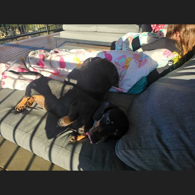 Photo of Lily & Lukey 