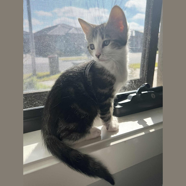 Photo of Tiggy