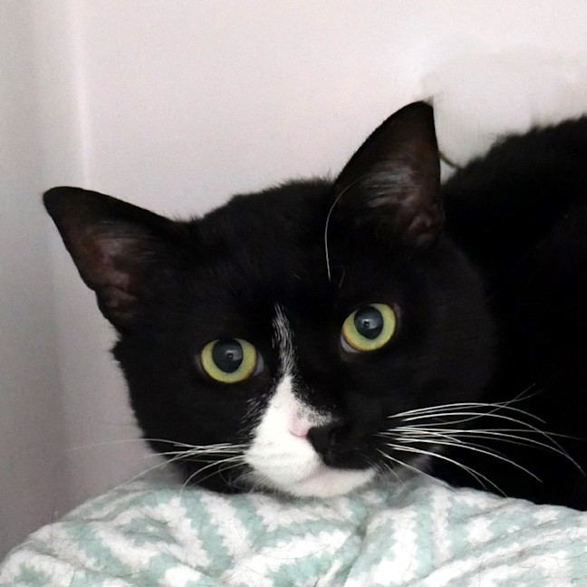 Photo of Hugo Sta012822