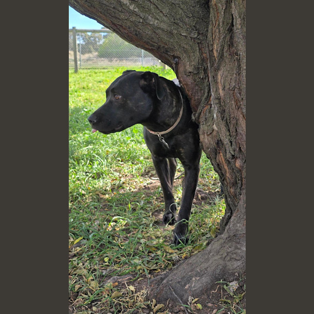 Photo of Kiki 