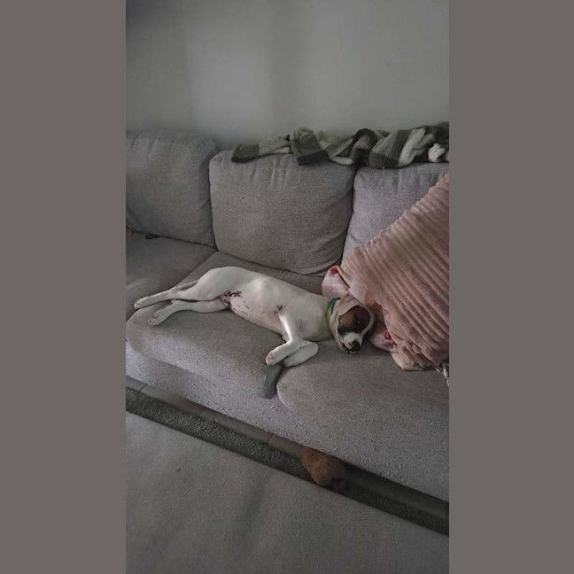 Photo of Asher