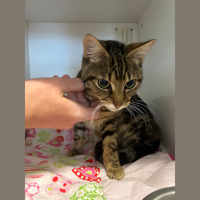 Photo of Turbo