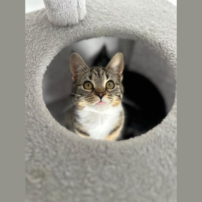 Photo of Angelette