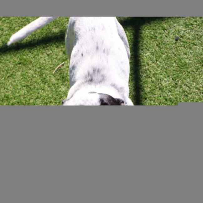 Photo of Missy