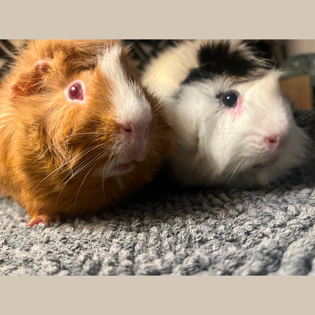 Photo of Cruise & Miles