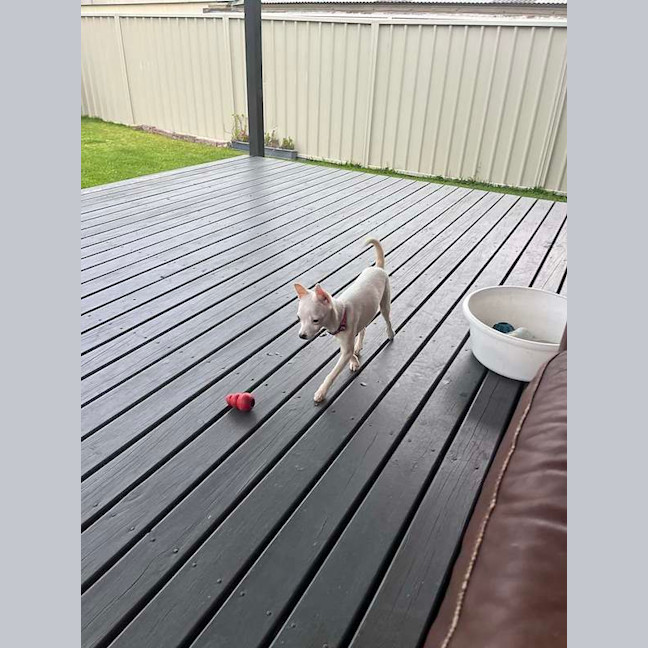 Photo of Ghost