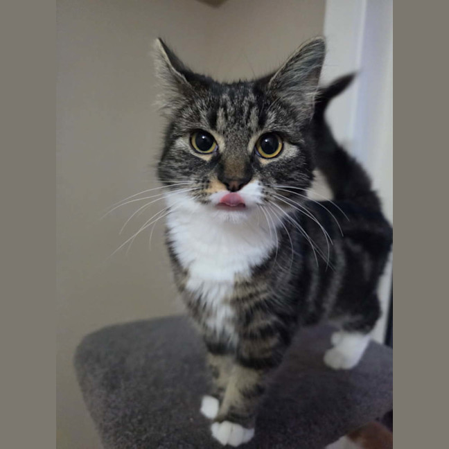 Photo of Tuxy