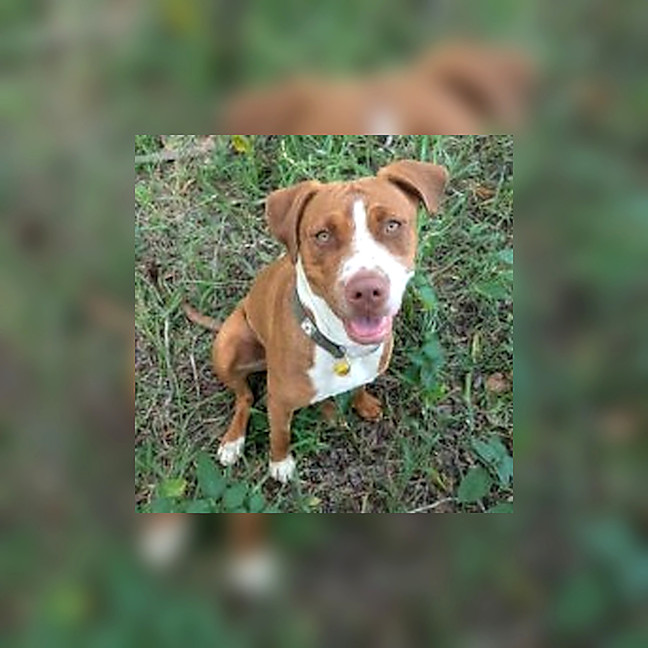 Photo of Bianca (Aka Vicki)