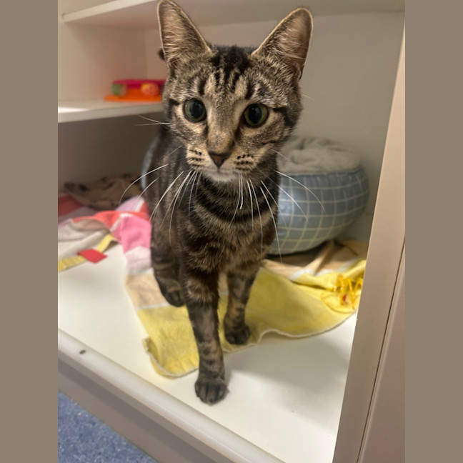 Photo of Tiny