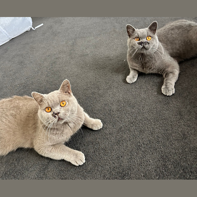 Photo of Ghost