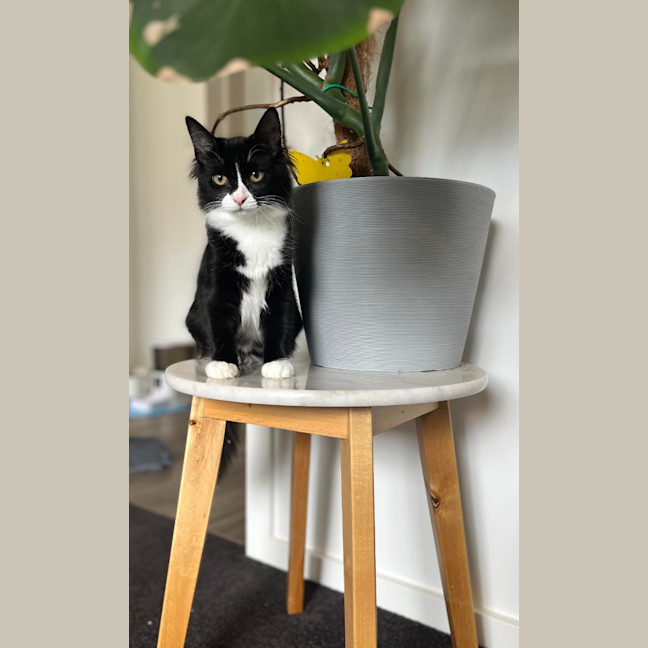 Photo of Annabel