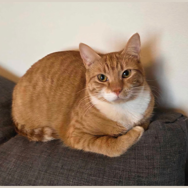 Photo of Saige & Charlie 