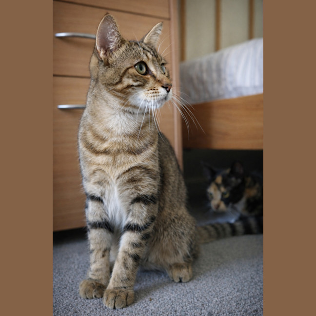Photo of Kobe