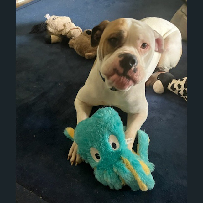 Photo of Annie
