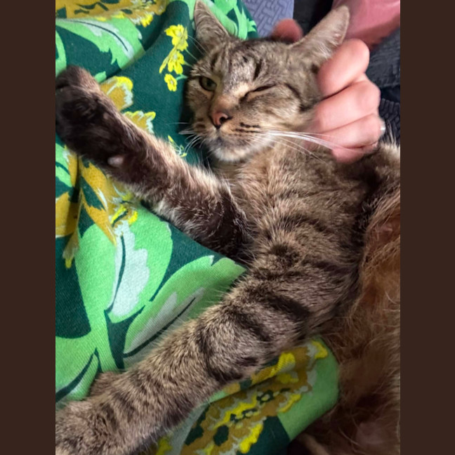 Photo of  🤟 Yuna 🤟