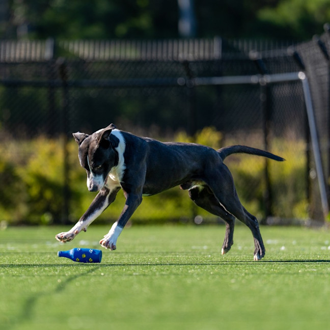 Photo of Michael Imp 887