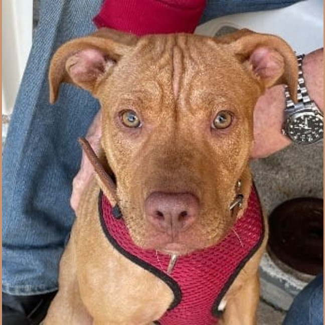 Photo of Lola