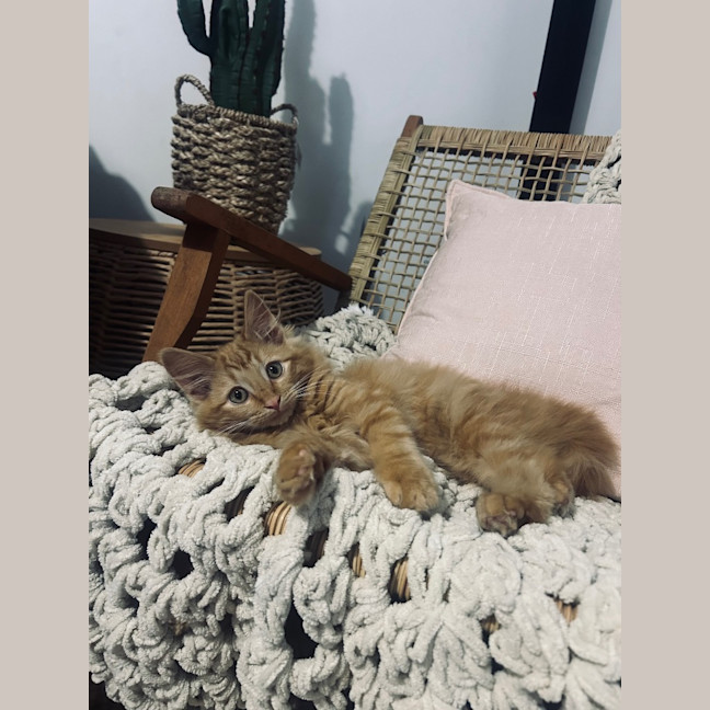 Photo of Leo
