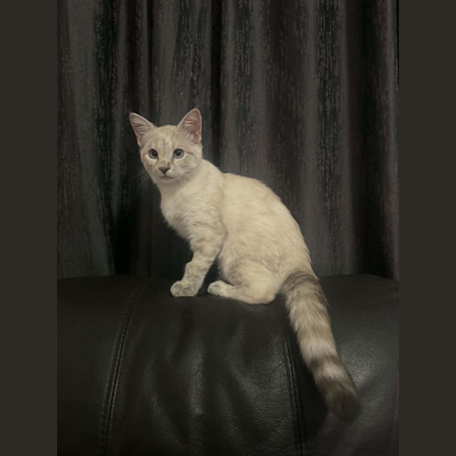 Photo of Rowena