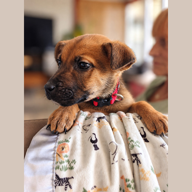 Photo of Trevor
