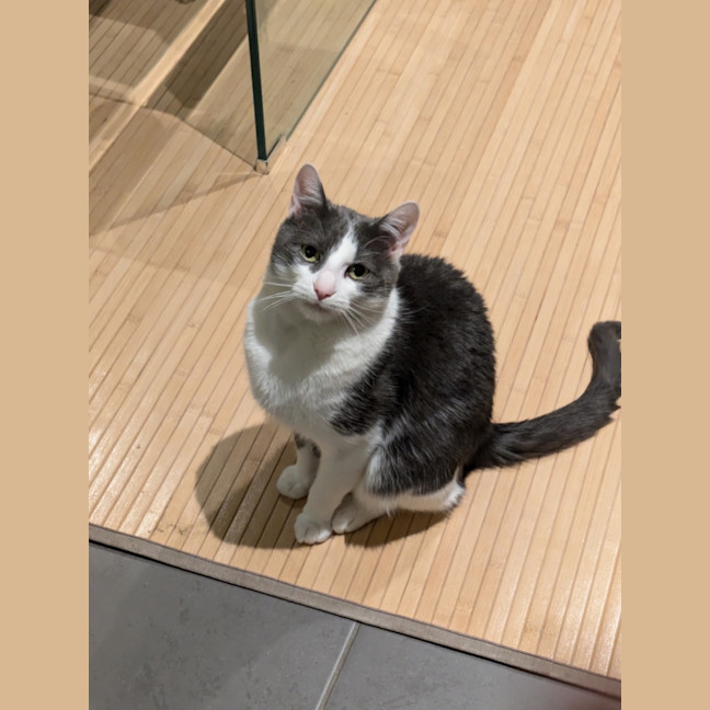 Photo of Max Illingworth