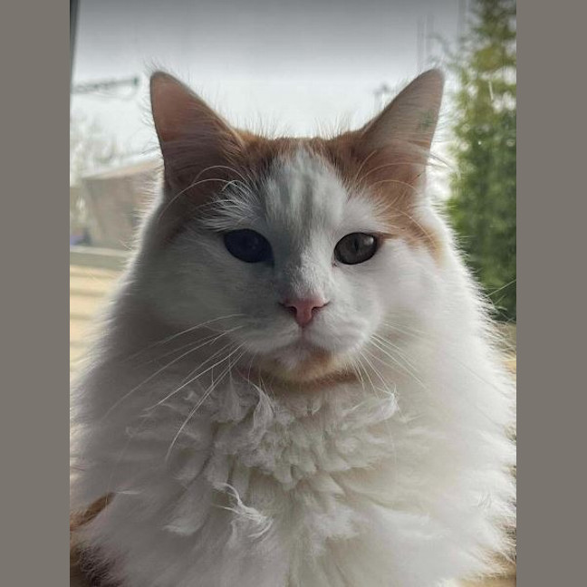 Photo of Cedric